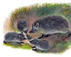 Картина на зайци от поредицата диви животни на П. Меншикова